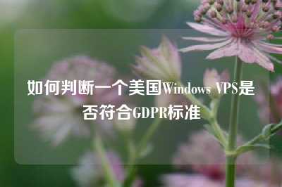 如何判断一个美国Windows VPS是否符合GDPR标准
