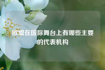 欧盟在国际舞台上有哪些主要的代表机构