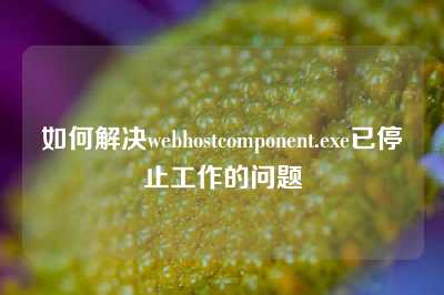 如何解决webhostcomponent.exe已停止工作的问题