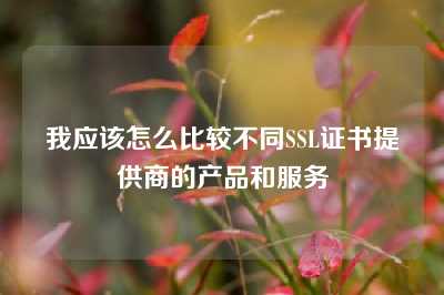 我应该怎么比较不同SSL证书提供商的产品和服务