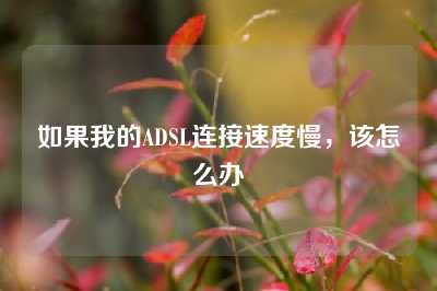 如果我的ADSL连接速度慢，该怎么办