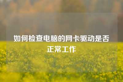 如何检查电脑的网卡驱动是否正常工作