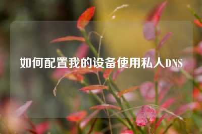 如何配置我的设备使用私人DNS