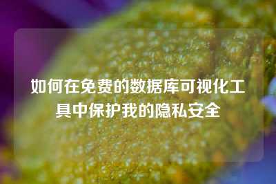 如何在免费的数据库可视化工具中保护我的隐私安全