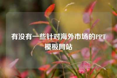 有没有一些针对海外市场的PPT模板网站