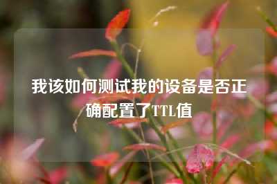 我该如何测试我的设备是否正确配置了TTL值