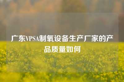 广东VPSA制氧设备生产厂家的产品质量如何