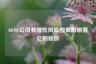 AGNC公司有哪些风险因素影响着它的股价