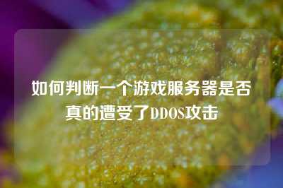 如何判断一个游戏服务器是否真的遭受了DDOS攻击