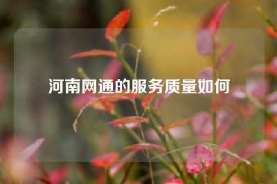 河南网通的服务质量如何