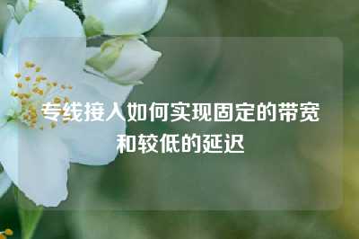 专线接入如何实现固定的带宽和较低的延迟