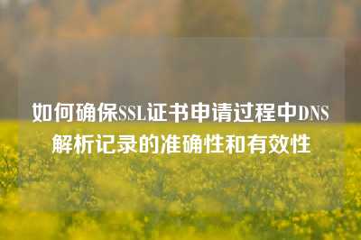 如何确保SSL证书申请过程中DNS解析记录的准确性和有效性