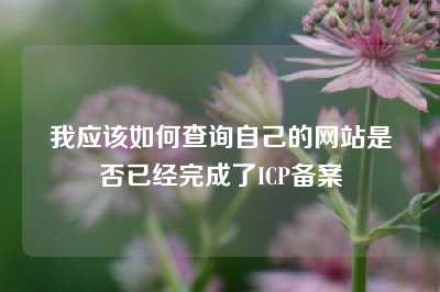 我应该如何查询自己的网站是否已经完成了ICP备案