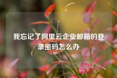我忘记了阿里云企业邮箱的登录密码怎么办