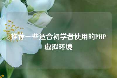 推荐一些适合初学者使用的PHP虚拟环境