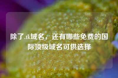 除了.tk域名，还有哪些免费的国际顶级域名可供选择
