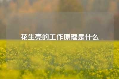 花生壳的工作原理是什么