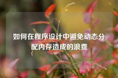 如何在程序设计中避免动态分配内存造成的浪费