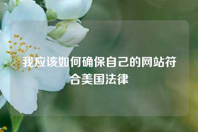 我应该如何确保自己的网站符合美国法律