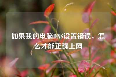 如果我的电脑DNS设置错误，怎么才能正确上网