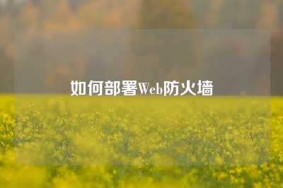 如何部署Web防火墙