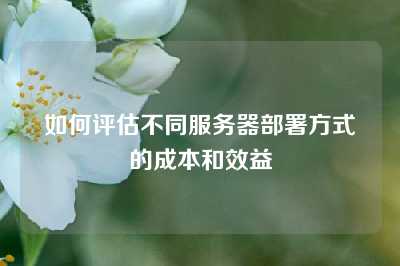 如何评估不同服务器部署方式的成本和效益