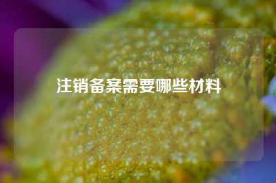 注销备案需要哪些材料