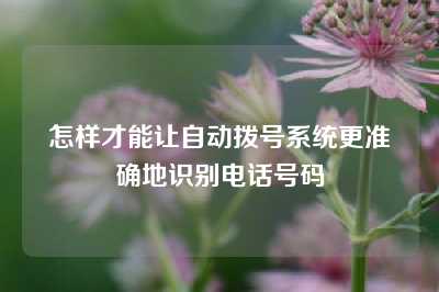 怎样才能让自动拨号系统更准确地识别电话号码