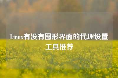 Linux有没有图形界面的代理设置工具推荐