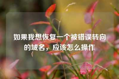 如果我想恢复一个被错误转向的域名，应该怎么操作