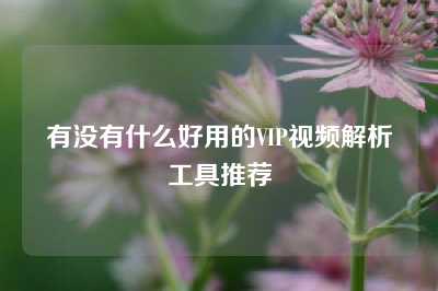 有没有什么好用的VIP视频解析工具推荐