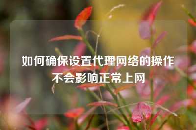 如何确保设置代理网络的操作不会影响正常上网