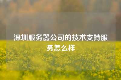 深圳服务器公司的技术支持服务怎么样