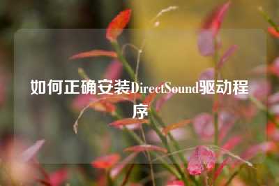 如何正确安装DirectSound驱动程序