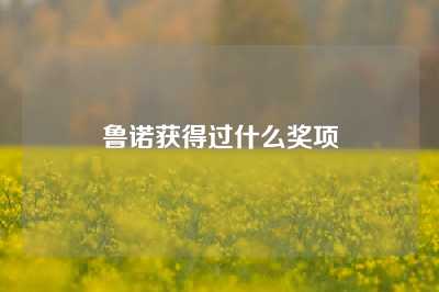 鲁诺获得过什么奖项