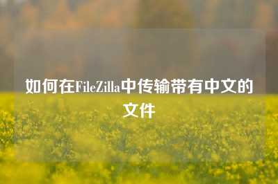 如何在FileZilla中传输带有中文的文件