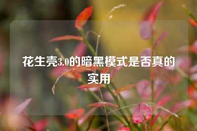 花生壳3.0的暗黑模式是否真的实用