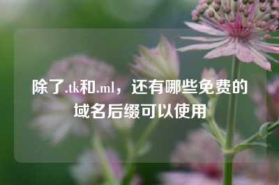 除了.tk和.ml，还有哪些免费的域名后缀可以使用