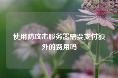 使用防攻击服务器需要支付额外的费用吗