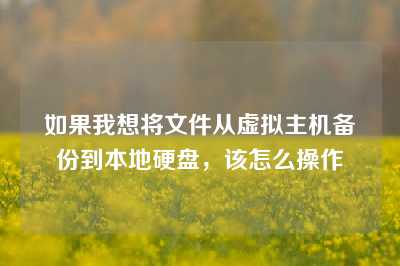 如果我想将文件从虚拟主机备份到本地硬盘，该怎么操作