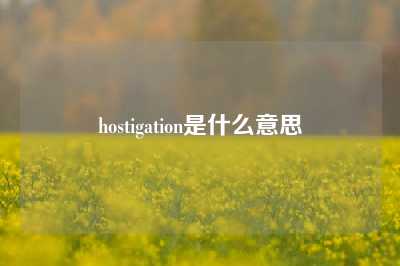 hostigation是什么意思