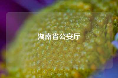 湖南省公安厅