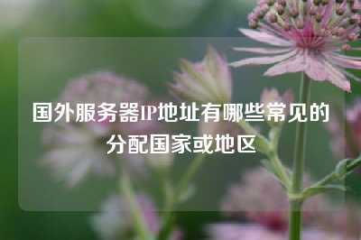 国外服务器IP地址有哪些常见的分配国家或地区