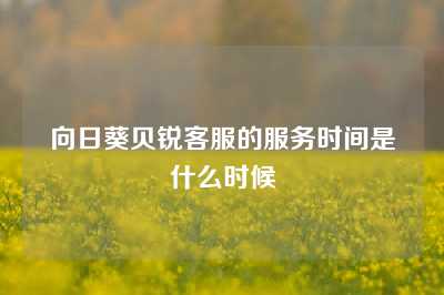 向日葵贝锐客服的服务时间是什么时候