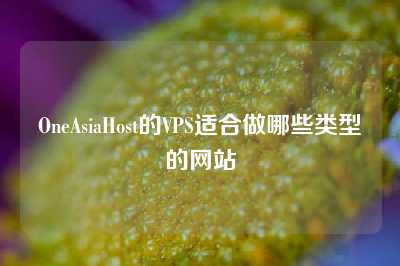 OneAsiaHost的VPS适合做哪些类型的网站