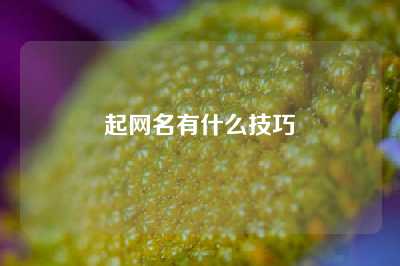 起网名有什么技巧