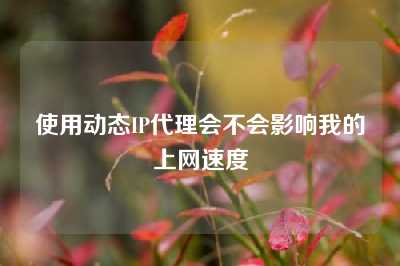 使用动态IP代理会不会影响我的上网速度