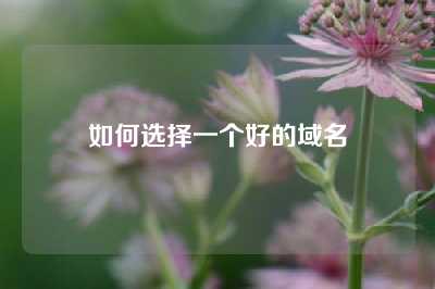 如何选择一个好的域名