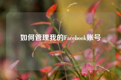 如何管理我的Facebook账号