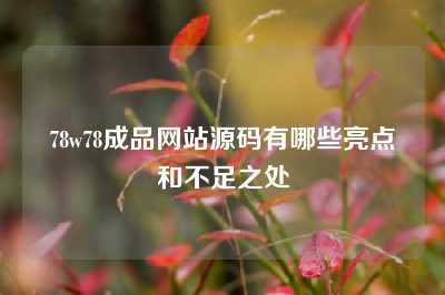 78w78成品网站源码有哪些亮点和不足之处